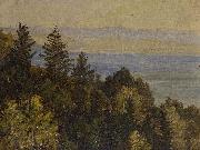 Carl Gustav Carus Blick uber einen bewaldeten Abhang in weite Gebirgslandschaft oil painting reproduction